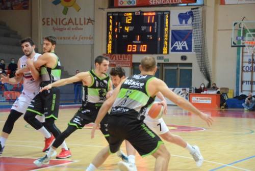 Basket serie B, per la Goldengas Senigallia anno nuovo e vecchie ambizioni: domenica ospita la LUISS Roma