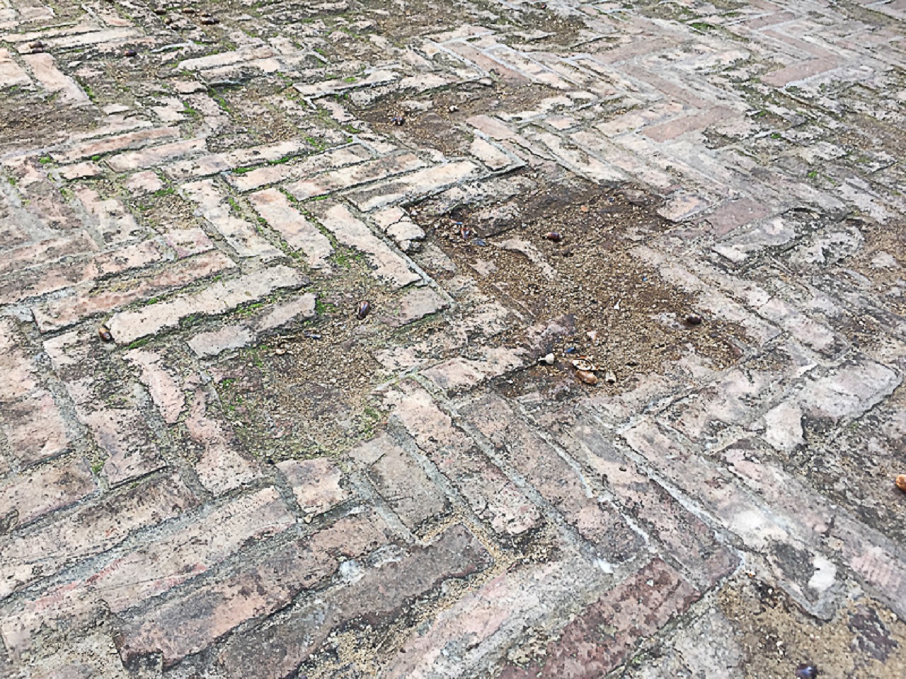 Buche ed erosione nel selciato di piazza Il Terreno a Corinaldo