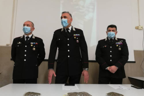 Montecassiano, blitz dei carabinieri in un casolare: sequestrati 104 kg di marijuana. Nei guai commerciante