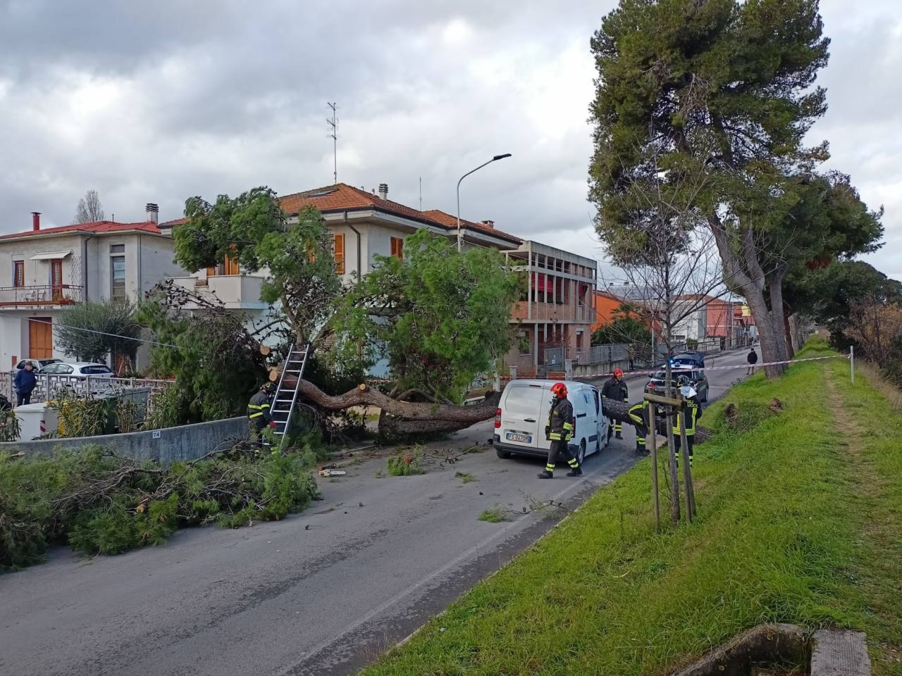 L'incidente sullo Stradone Misa, a Senigallia, dove un albero è crollato su un'auto in transito