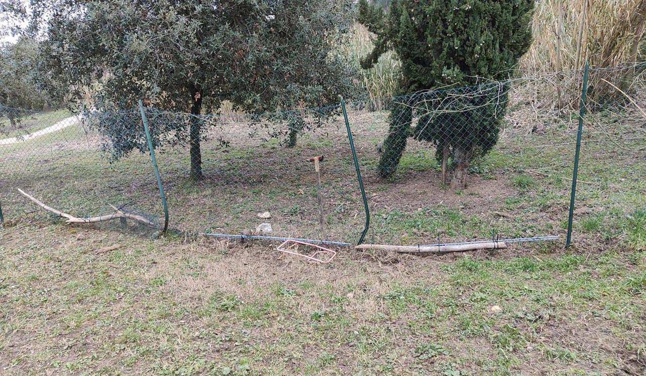 Le reti malmesse al parco cani