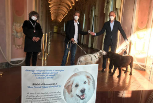 Al museo con il cane: Jesi premiata dall’Enpa. Butini: « È il risultato di un impegno costante»