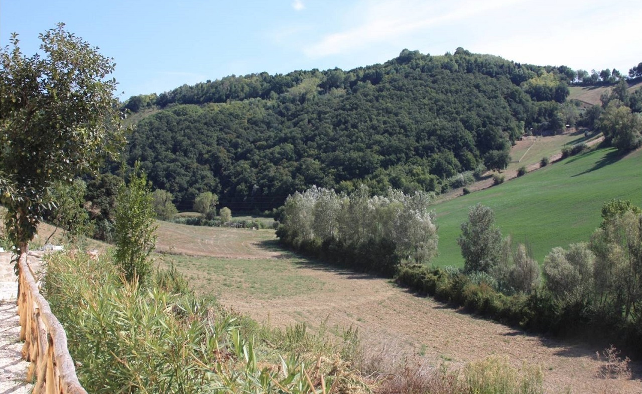 L'orto botanico “Selva di Gallignano” dell’Università Politecnica delle Marche
