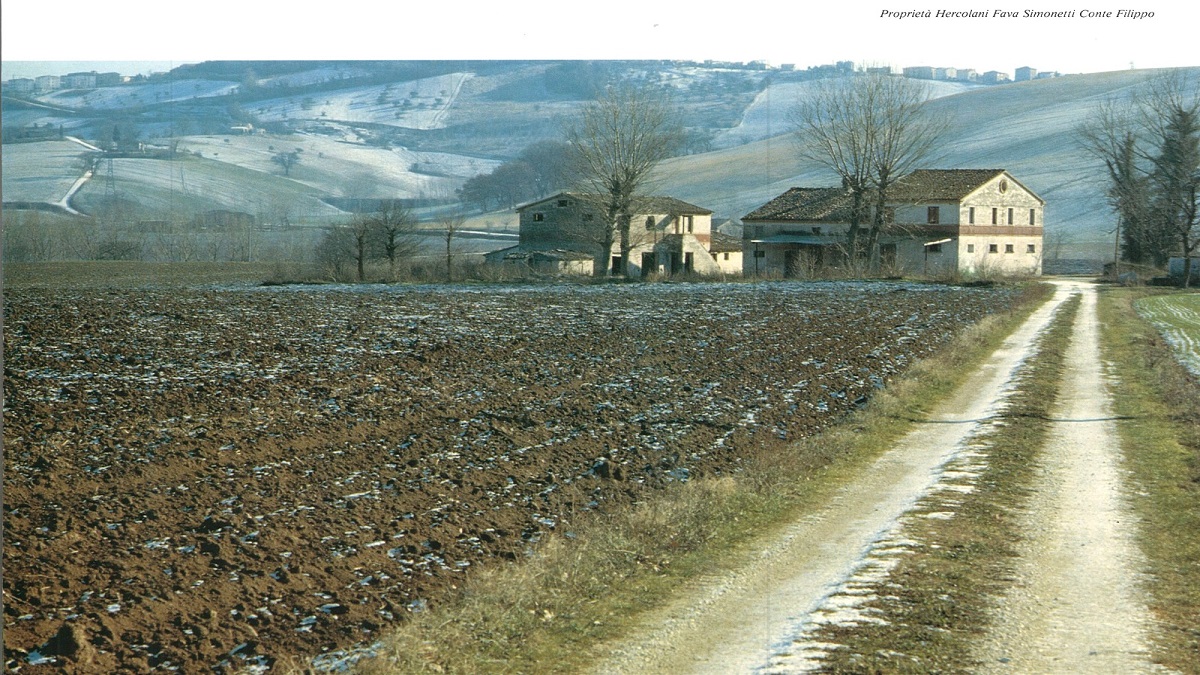 Una casa colonica a Osimo