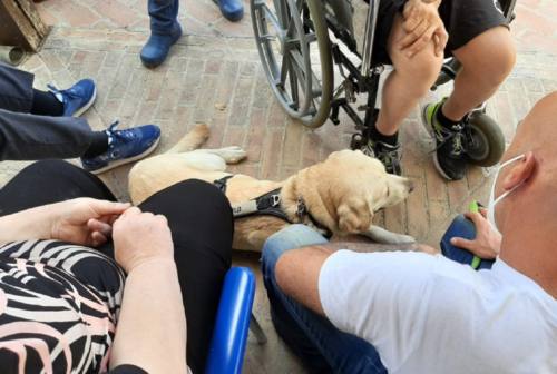 Castelfidardo, gli studenti incontrano Nana e Mia. Così la pet therapy entra in classe