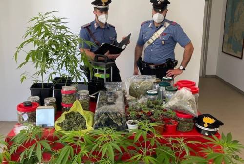 Piantagione di marijuana in casa, arrestato 37enne di Porto Potenza