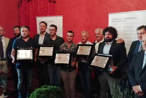 Dalle Marche all’Euroflora di Genova: 5 florovivaisti piceni premiati da Regione e Camera di commercio