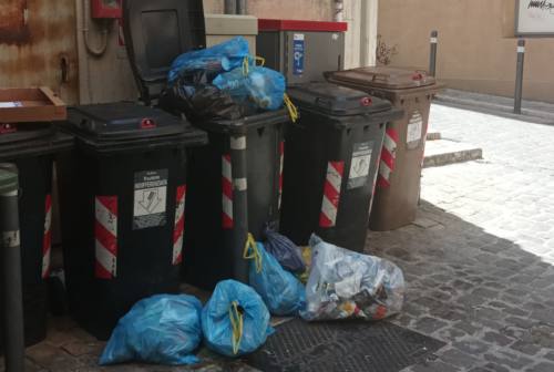 Degrado nel centro di Ancona: spazzatura abbandonata nei vicoli. Topi e cattivi odori investono gli esercizi commerciali