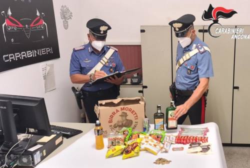 Maiolati Spontini, rubano al supermercato: inseguiti e arrestati dai carabinieri
