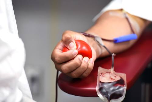 Donazioni di sangue, Avis Marche: «Ci troviamo in una fase di autosufficienza. Dobbiamo aumentare il plasma»