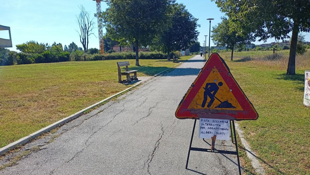 L'abbattimento degli alberi morti lungo la pista ciclabile della Cesanella di Senigallia