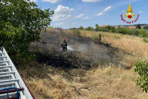 Serra de’ Conti, incendio in un campo: in fiamme 400 metri quadrati di terreno
