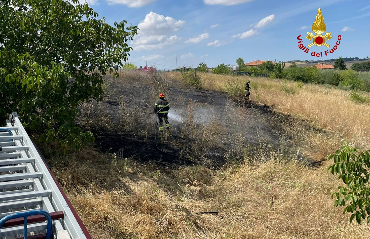 Serra de' Conti, incendio in un campo: in fiamme 400 metri quadrati di terreno