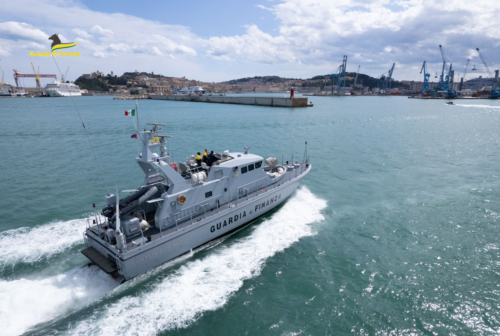 Pesca di frodo, la Guardia di Finanza di Ancona sequestra 8mila ricci di mare
