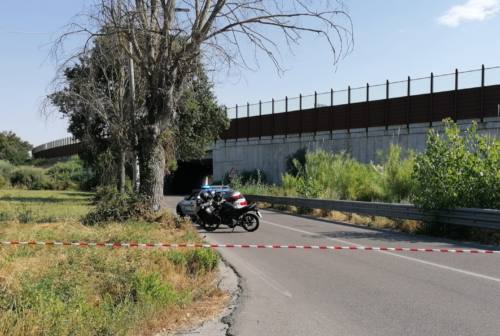 Perde il controllo dell’auto e sbatte contro un albero: automobilista muore a Senigallia