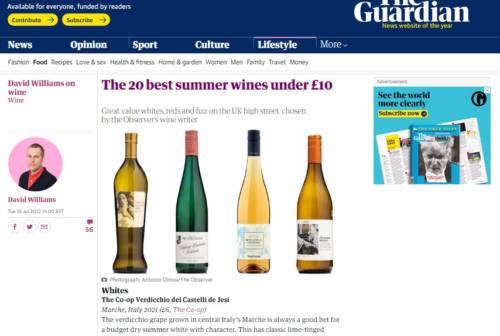 Caccia al Verdicchio, primo in classifica dei migliori vini “economici” del Guardian