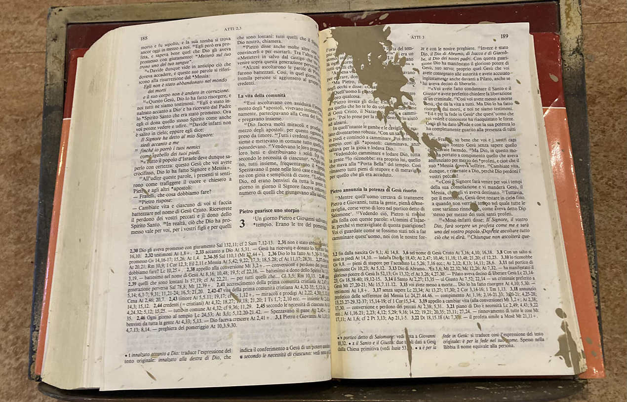 la Bibbia sopravvissuta al disastro è divenuta virale
