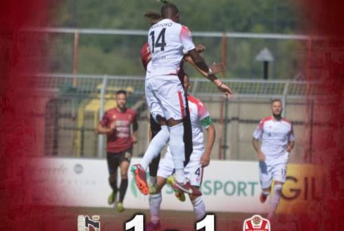 Calcio serie C, Vis Pesaro beffata nel finale: è 1-1 contro il Pontedera