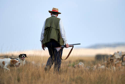 Torna la caccia e con essa le polemiche: «Possibile vietare l’attraversamento dei campi privati?»