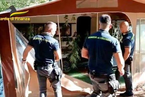 Civitanova, coltiva hashish e marijuana nel giardino di casa, arrestato un 29enne