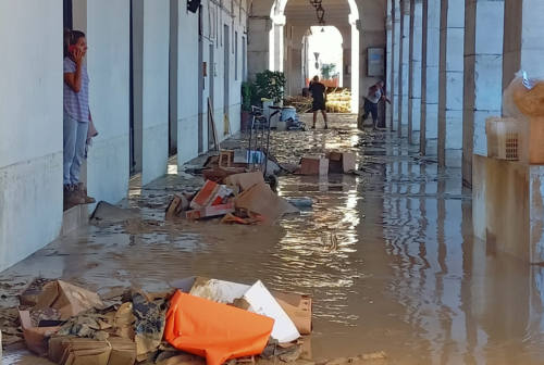 Alluvione nelle Marche, l’assessore regionale Carloni alle imprese colpite: «Daremo risposte efficaci e tempestive»