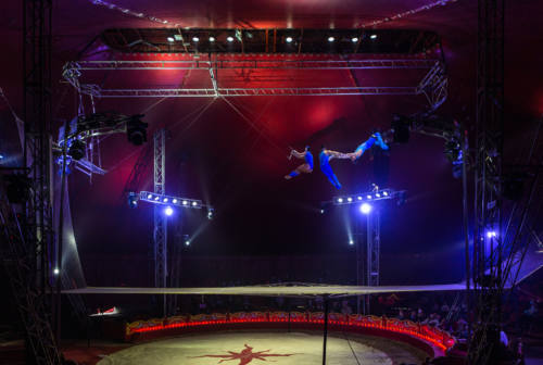 Pesaro, il circo Orfei in città: «Grande spettacolo e rispettiamo tutte le regole sul benessere degli animali»
