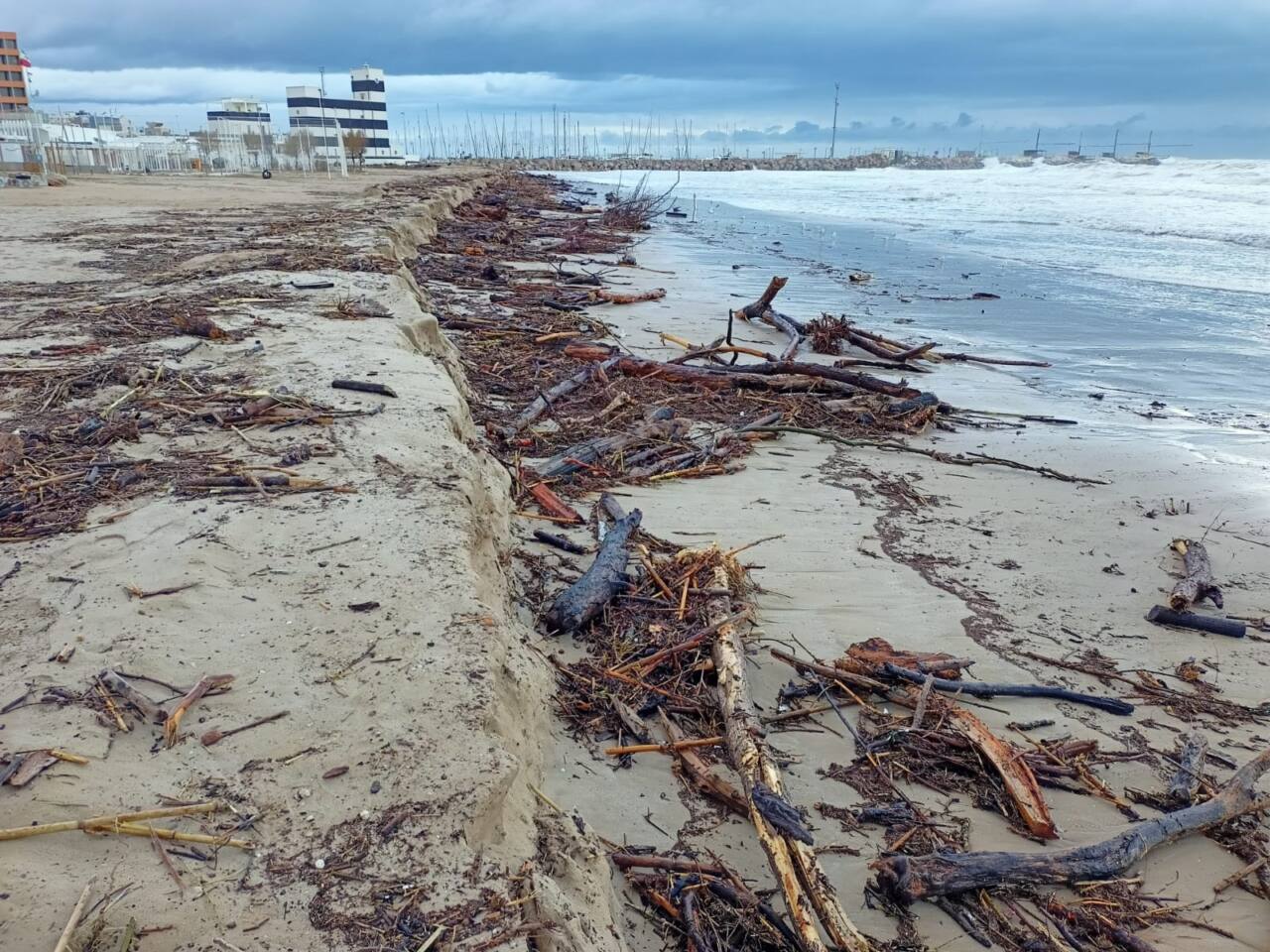 I detriti portati sulla spiaggia di levante di Senigallia dalla mareggiata