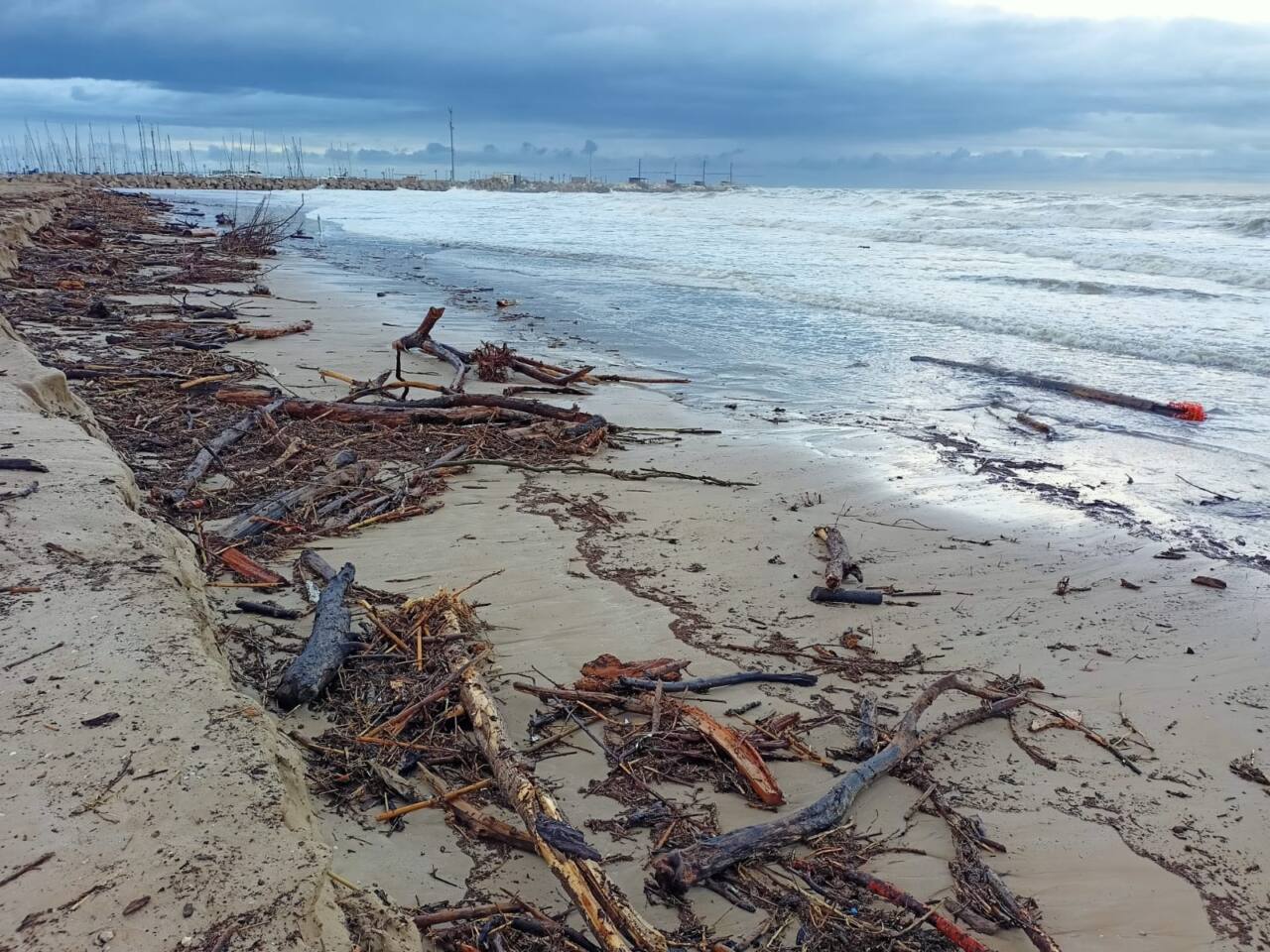 I detriti portati sulla spiaggia di levante di Senigallia dalla mareggiata