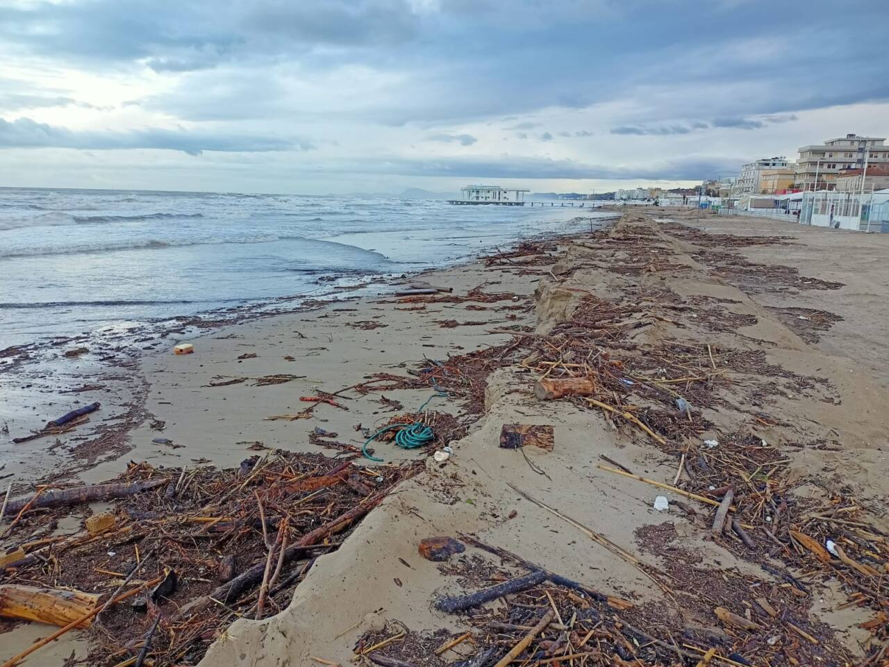 I detriti portati sulla spiaggia di levante di Senigallia dalla mareggiata