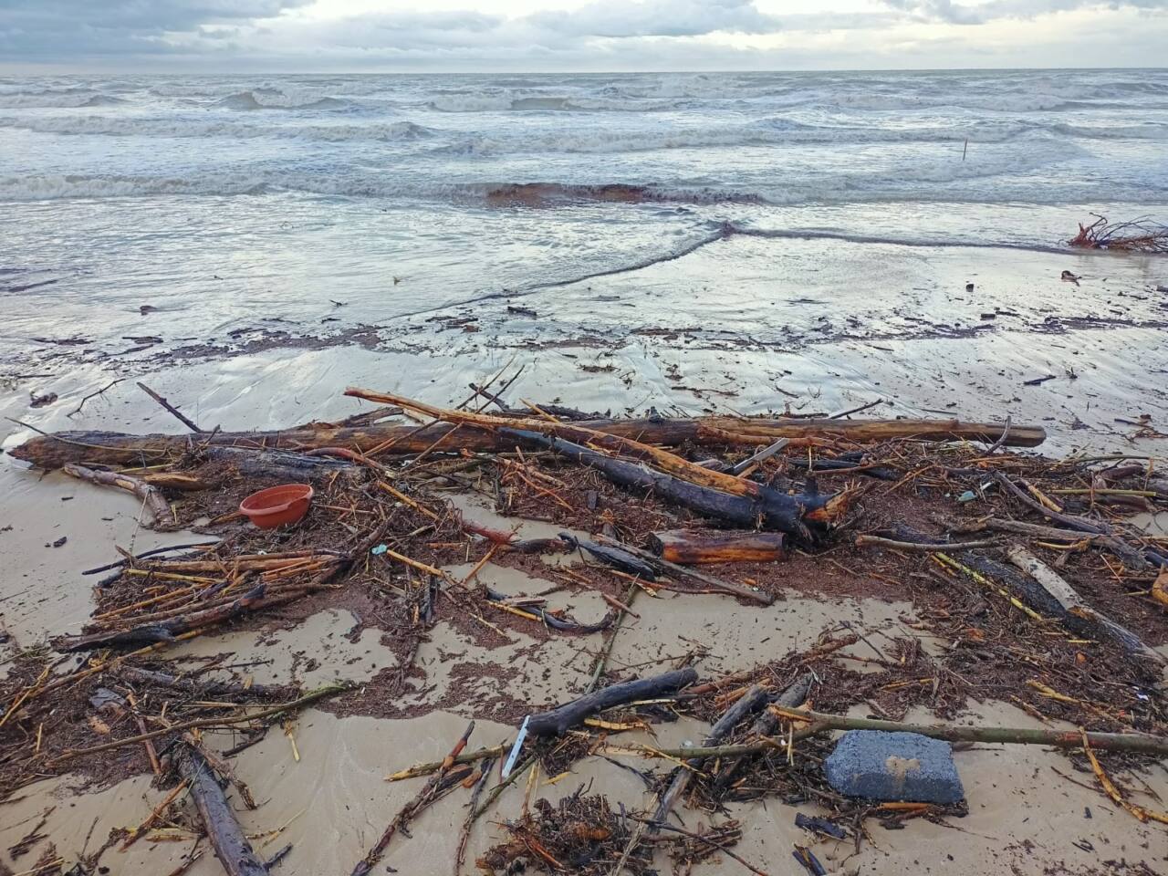 I detriti portati sulla spiaggia di levante di Senigallia dalla mareggiata