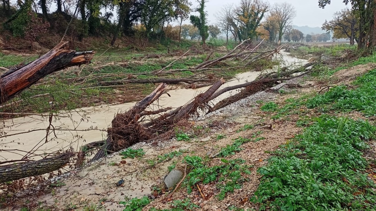 Il fosso che arriva al ponte di Bombo nel Comune di Barbara ancora pieno di tronchi e detriti