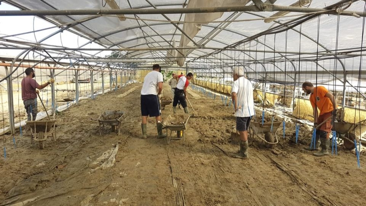 L'azienda ortofloricola Agarbati costretta a fare nuovamente i conti con l'alluvione che ha colpito la zona di Casine di Ostra