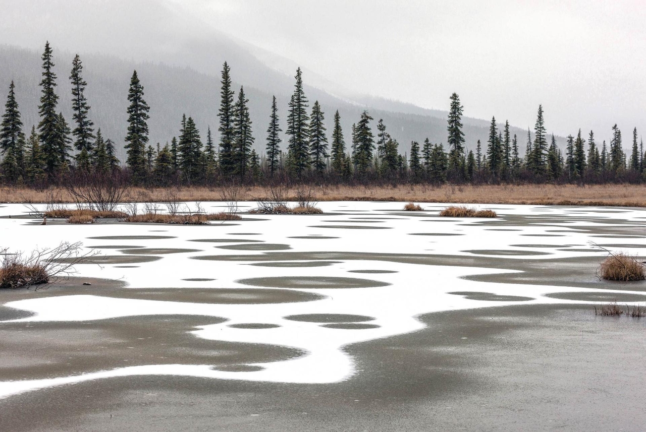 Sue Park, Canada, Melting Snow