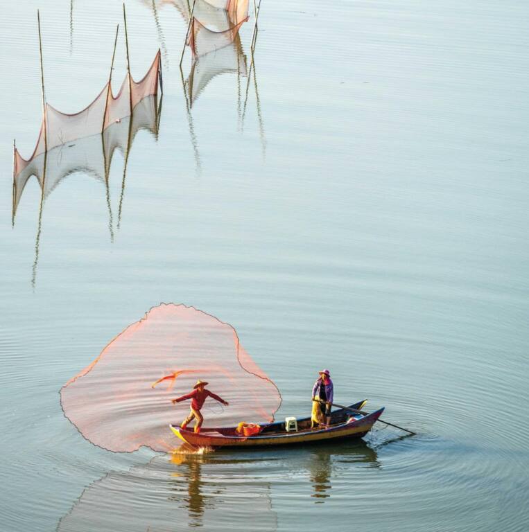 Sue Park, China, Casting the Net