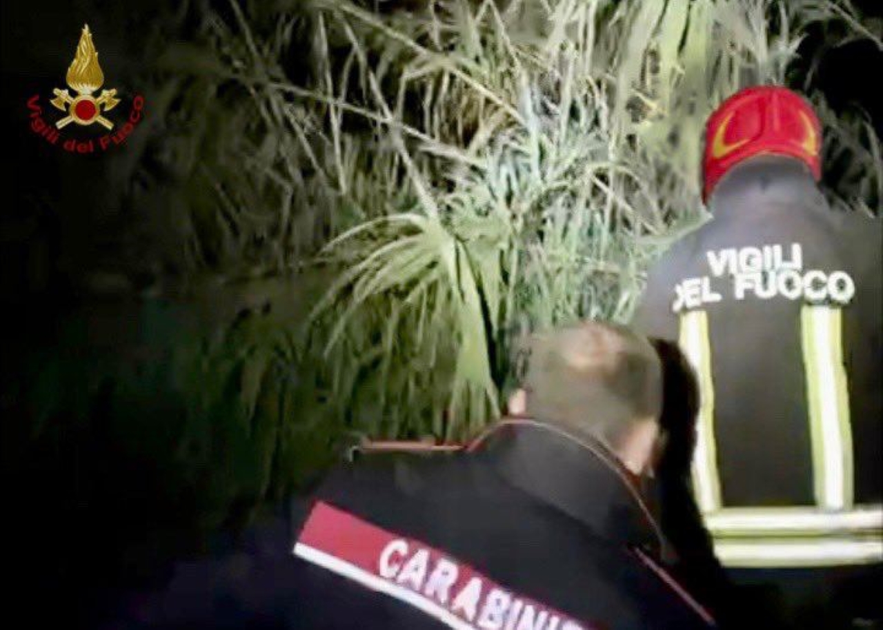 Carabinieri e Vigili del fuoco impegnati nel soccorso a un uomo caduto nel fiume Misa a Senigallia