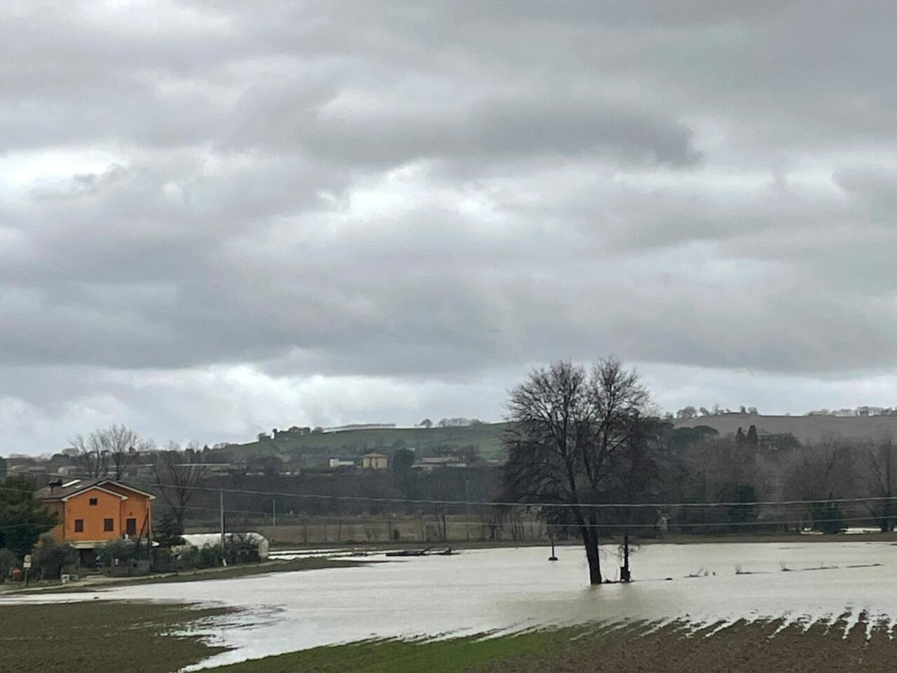 Il fiume Cesano ha allagato alcuni campi circostanti