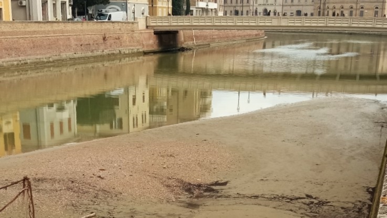 Isolotti di ghiaia e detriti lungo l'alveo del fiume Misa a Senigallia