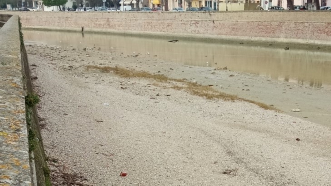 Isolotti di ghiaia e detriti lungo l'alveo del fiume Misa a Senigallia