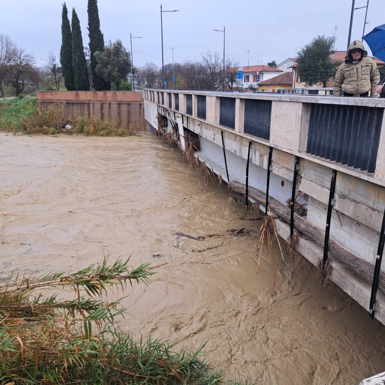 Il fiume Misa in piena transita con difficoltà sotto ponte Portone a Senigallia