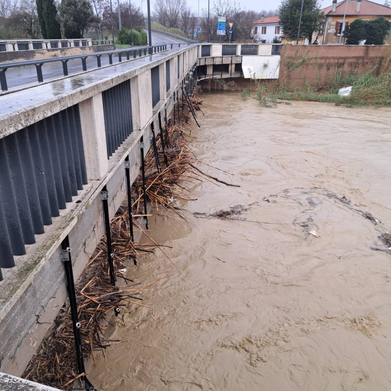 Il fiume Misa in piena transita con difficoltà sotto ponte Portone a Senigallia