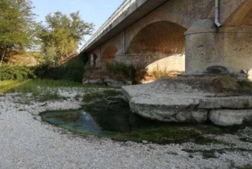 Morrovalle, via libera al progetto per la messa in sicurezza del ponte sul fiume Chienti