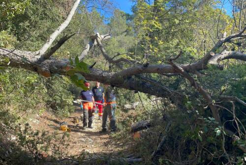 Parco del Conero, al via gli interventi per la prevenzione di incendi boschivi