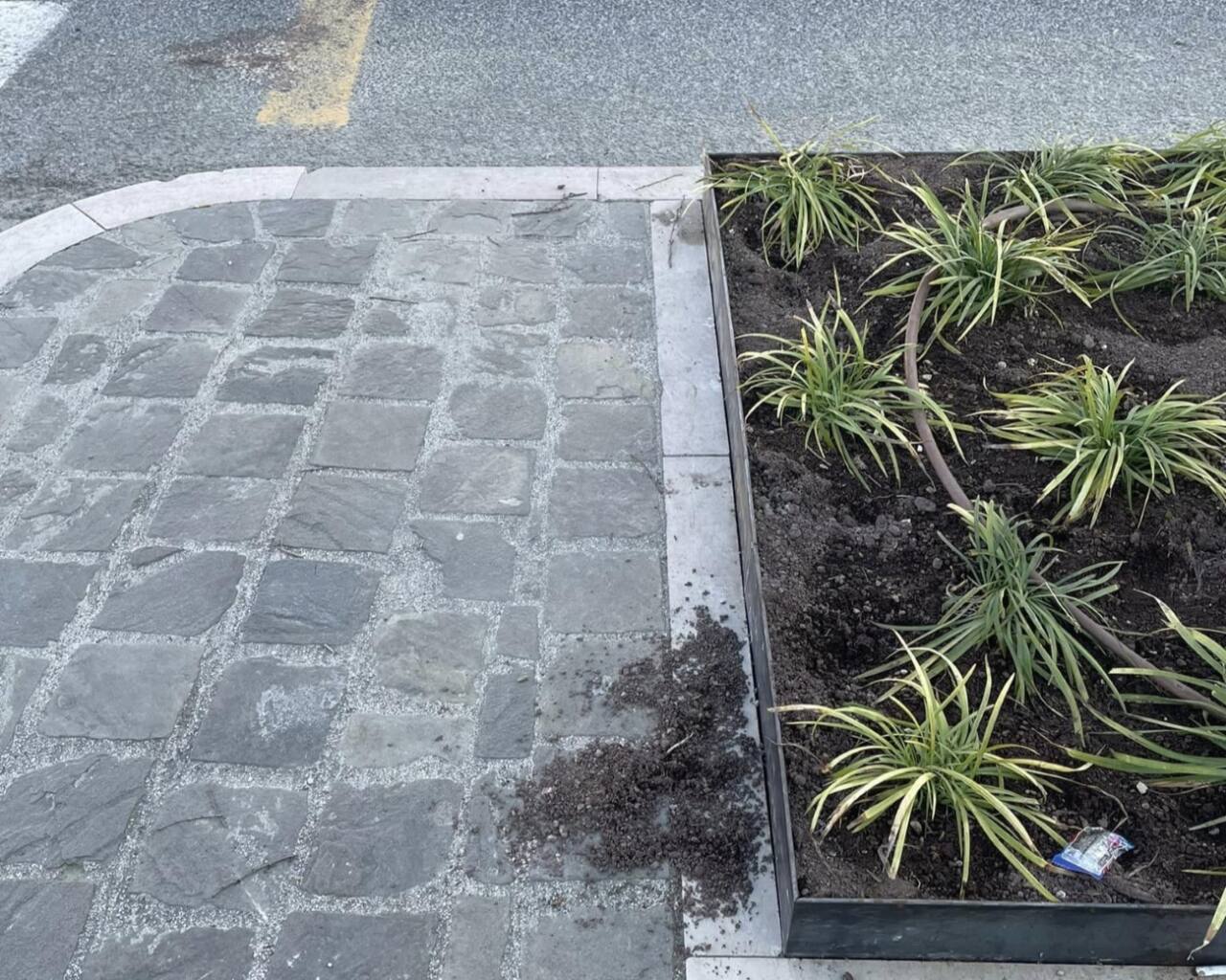 L'aiuola e la protezione in ferro "incriminate" per la caduta di un anziano in viale Leopardi a Senigallia