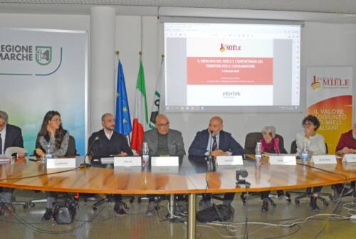 Apicoltura, presentata ad Ancona la 1° ricerca nazionale. Antonini annuncia bando da 700mila euro