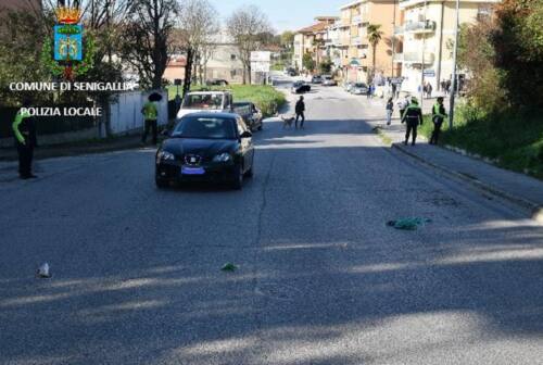 Senigallia, morta anche la donna investita con il suo cagnolino in via Corinaldese