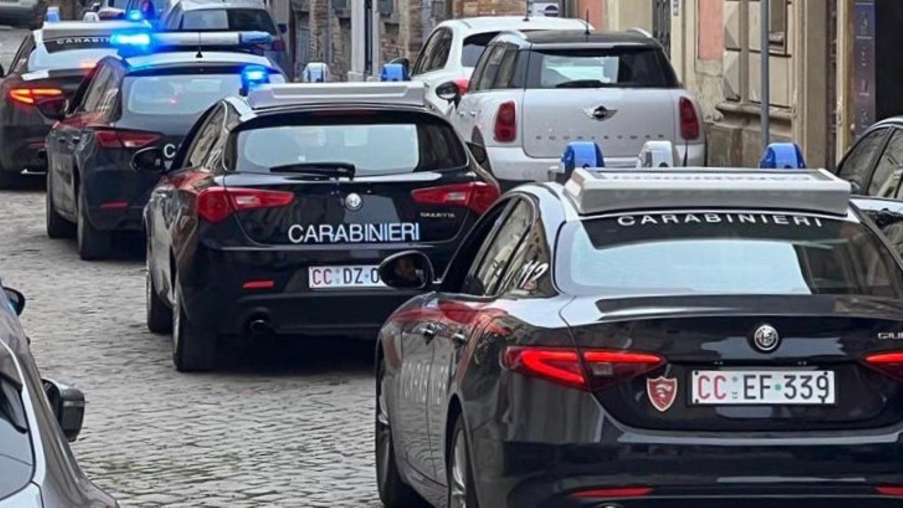 L'operazione dei Carabinieri di Senigallia