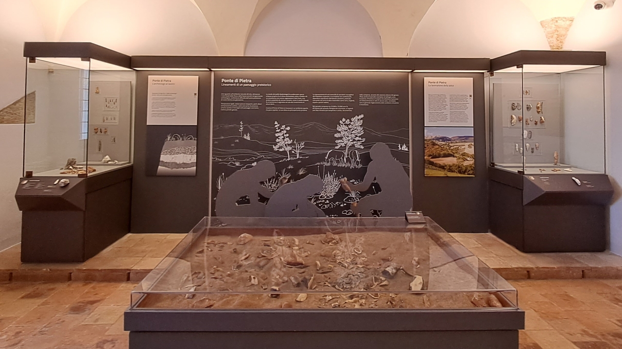 Il nuovo allestimento del Museo Archeologico Statale di Arcevia: l'area dedicata al paleolitico