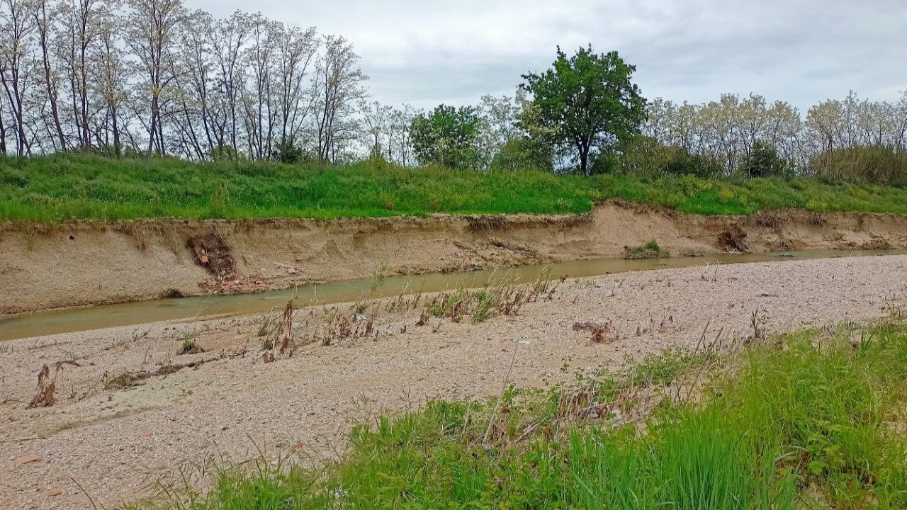 Lo stato degli argini e del letto del fiume Misa a Borgo Bicchia di Senigallia. Foto 29 aprile 2023.