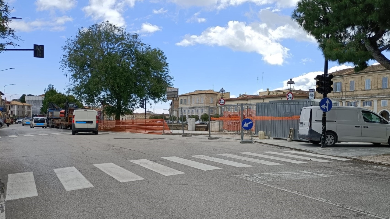 Senigallia, giù due alberi in via Rossini per far posto alla passerella ciclopedonale