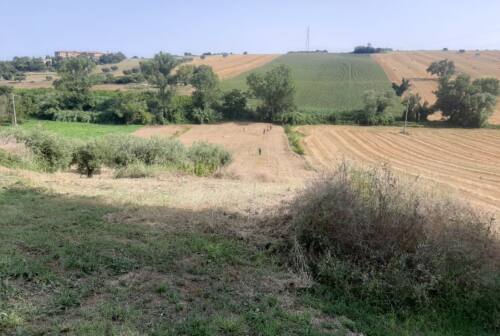 Civitanova Marche, ritrovato cadavere in un campo